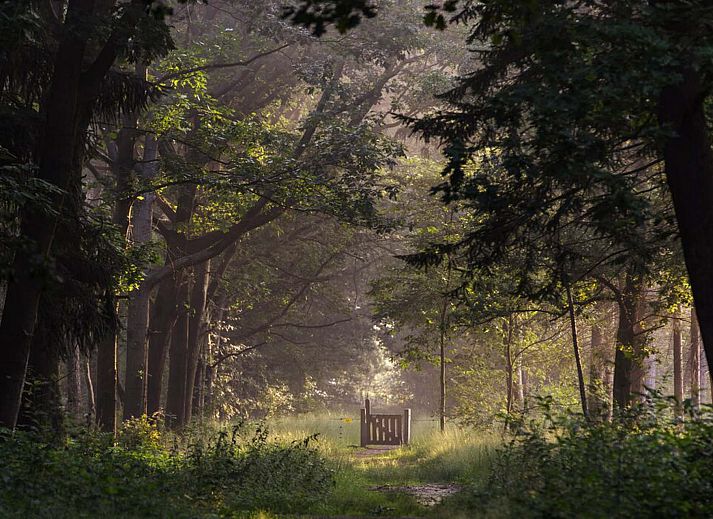 Unterkunft 430415 - Ferienhaus Noordoost Brabant - Vrijstaande woning in Schaijk