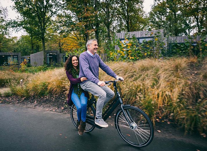 Verblijf 430431 - Chalet Noordoost Brabant - Chalet in Schaijk