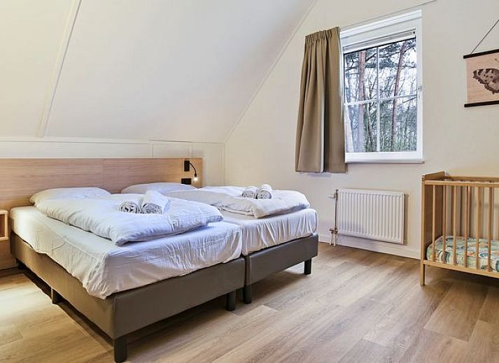 Moderne woonkamer in De Vers 6-persoons kinderbungalow Overloon met eetgedeelte en open keuken.