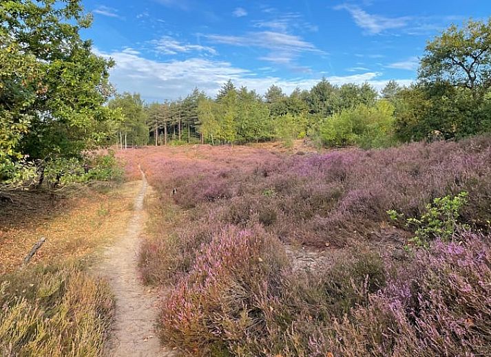 Bedroom in Holiday Home in Overloon, northeast Brabant, with wooden ceiling and comfortable beds.