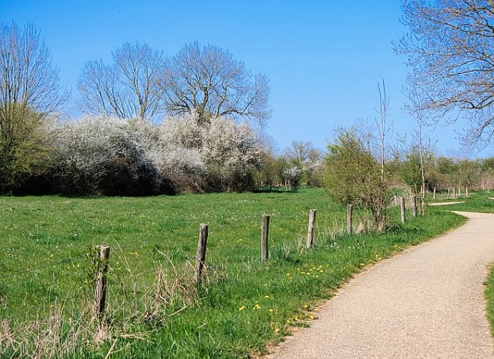 Bedroom in Holiday Home in Overloon, northeast Brabant, with wooden ceiling and comfortable beds.