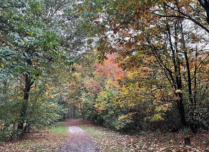 Modern kitchen in Holiday home in Overloon, northeast Brabant, with wooden cabinets and appliances.