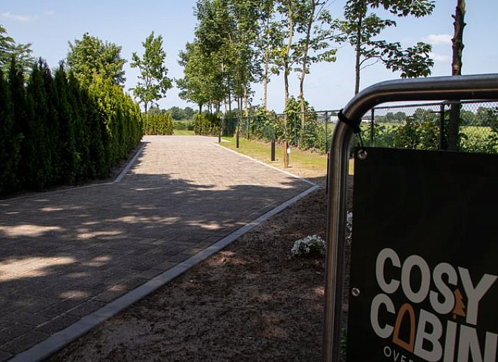 Gezellige glamping lodge bij Vakantiehuis in Overloon, Noordoost Brabant, met uitzicht op groene omgeving.