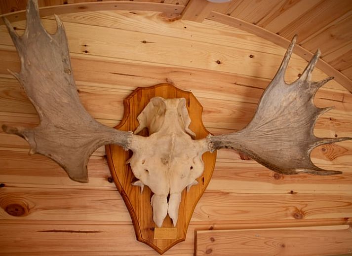 Knusse binnenruimte van Vakantiehuis in Overloon, Noordoost Brabant, met houten interieur en comfortabel bed.