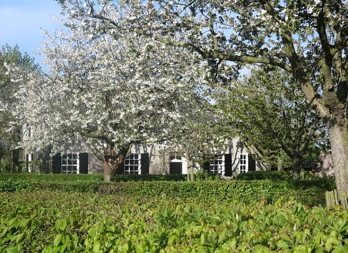 Guest house 430904 - Holiday property Noordoost Brabant - Huisje in Oeffelt