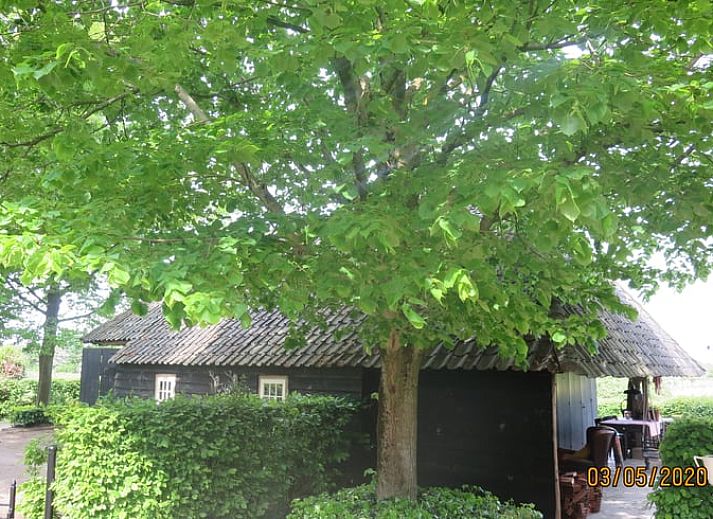Guest house 430904 - Holiday property Noordoost Brabant - Huisje in Oeffelt