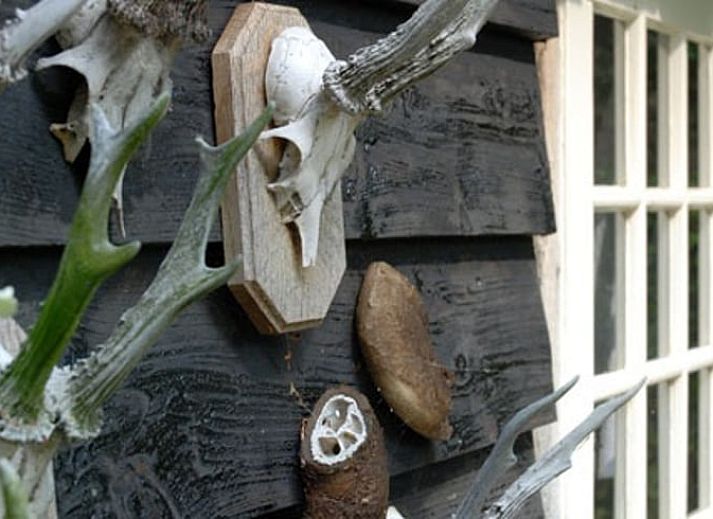 Authentieke schuur bij Vakantiehuis in Oeffelt, Noord Brabant, omgeven door groen en rust.