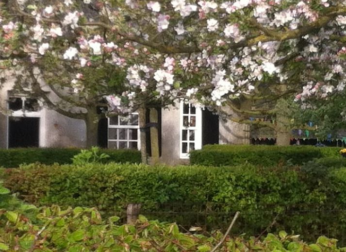 Authentieke schuur bij Vakantiehuis in Oeffelt, Noord Brabant, omgeven door groen en rust.