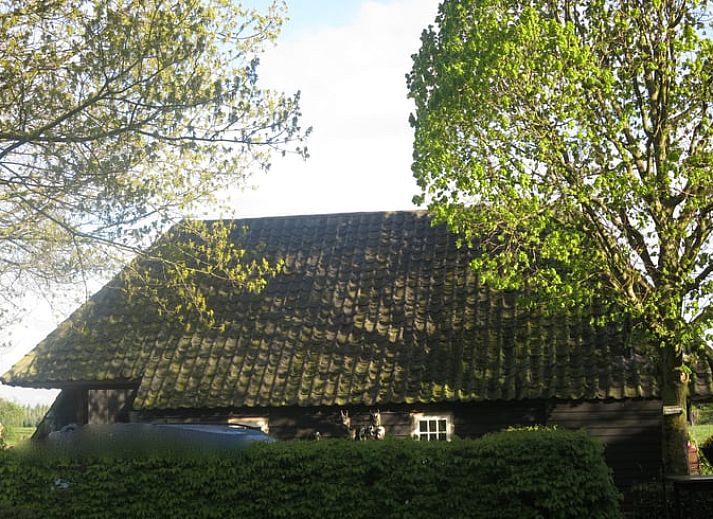 Authentieke schuur bij Vakantiehuis in Oeffelt, Noord Brabant, omgeven door groen en rust.