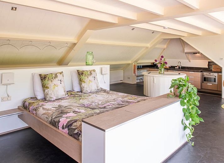 Guest house 430906 - Holiday property Noordoost Brabant - Vakantiehuis in Oeffelt