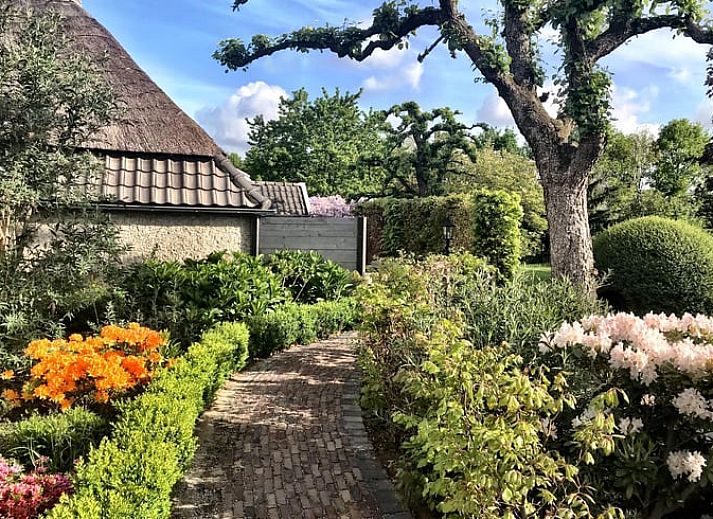 Guest house 430909 - Holiday property Noordoost Brabant - Huisje in Oeffelt