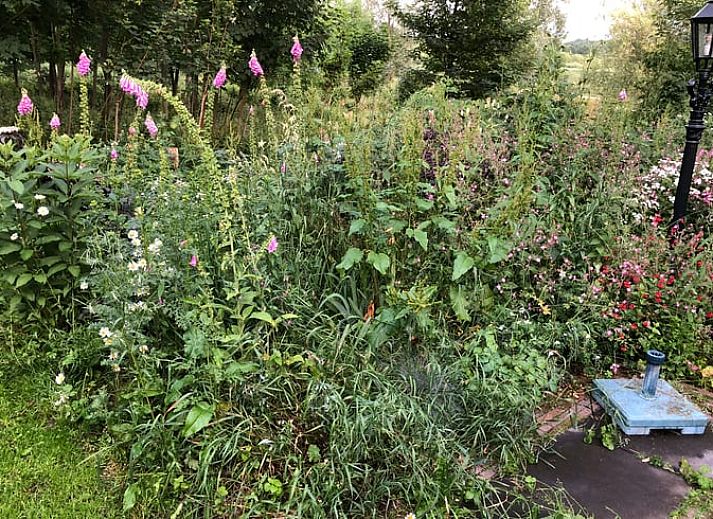 Ruime veranda van Vakantiehuisje in Cuijk, omgeven door groen in Noordoost Brabant, Noord Brabant.