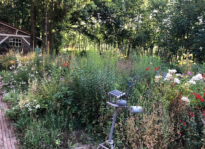 Comfortabele zithoek in Vakantiehuisje in Cuijk, Noordoost Brabant, Noord Brabant.