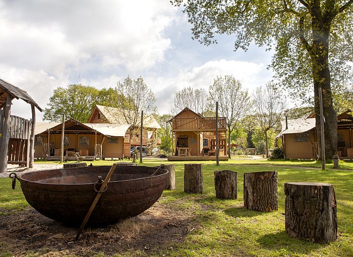 Unterkunft 431916 - Zelthaus Noordoost Brabant - Bos Lodge Junior