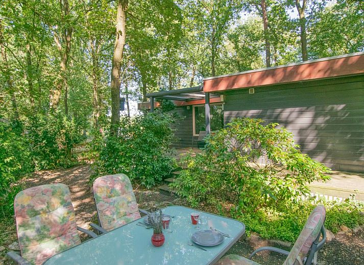 Guest house 431928 - Holiday property Noordoost Brabant - Berghuisje