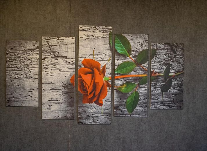 Guest house 431928 - Holiday property Noordoost Brabant - Berghuisje