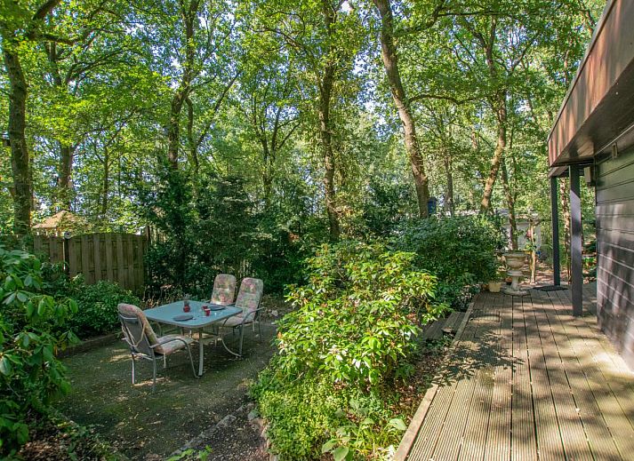 Guest house 431928 - Holiday property Noordoost Brabant - Berghuisje