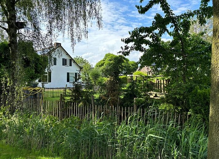 Cottage in Gemert, Ferienhaus in Nordost-Brabant mit gruenem Garten und rustikaler Umgebung.