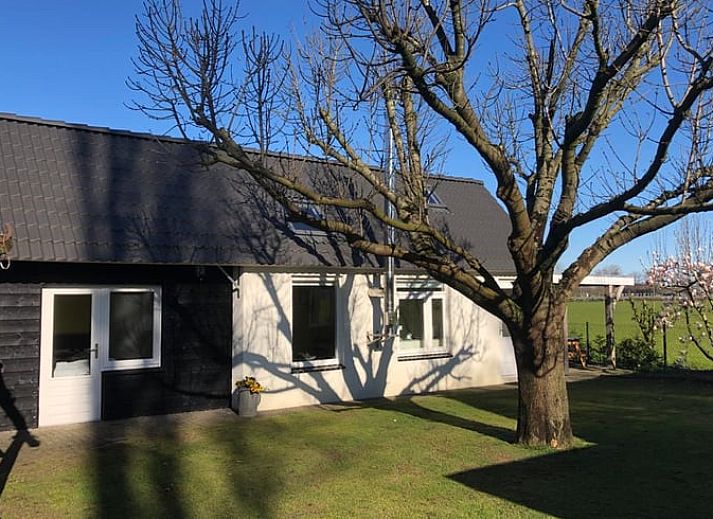 Huisje in Gemert, vakantiehuis met bloeiende magnolia's in Noordoost Brabant, Noord Brabant.