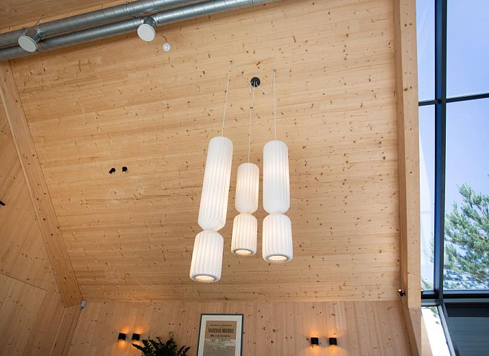 Unterkunft 432310 - Ferienhaus Noordoost Brabant - Villa WOOD