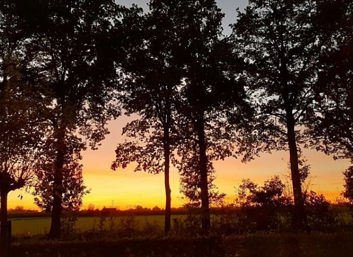 Unterkunft 432405 - Ferienhaus Noordoost Brabant - Vakantiehuisje in Boekel