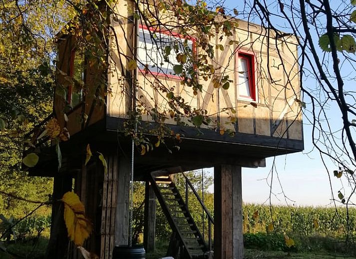 Guest house 432406 - Holiday property Noordoost Brabant - Vakantiehuis in Boekel