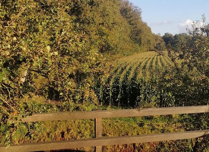 Guest house 432406 - Holiday property Noordoost Brabant - Vakantiehuis in Boekel