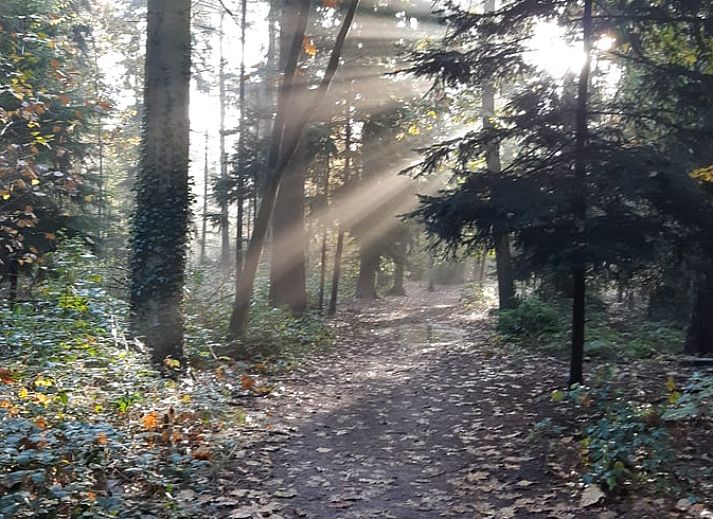 Guest house 432406 - Holiday property Noordoost Brabant - Vakantiehuis in Boekel