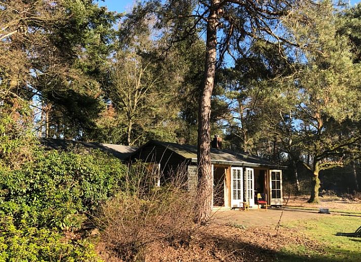 Unterkunft 432706 - Ferienhaus Noordoost Brabant - Vakantiehuis in Oploo