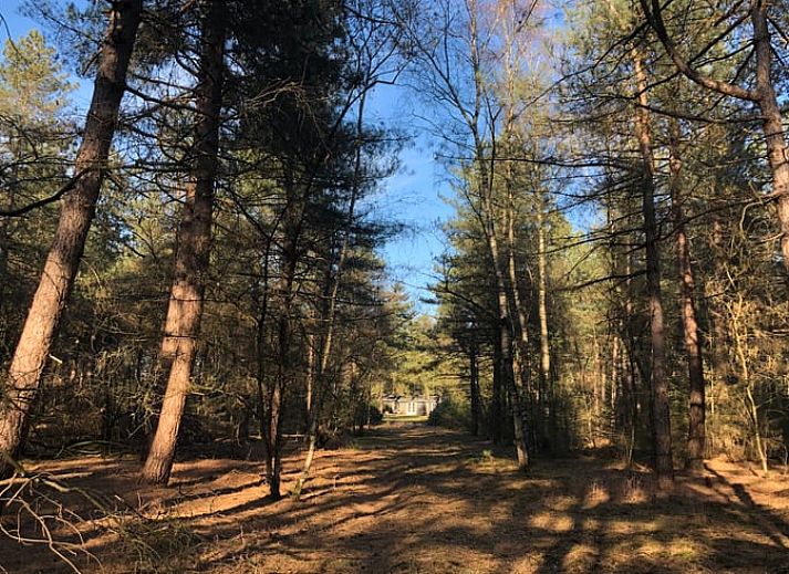 Unterkunft 432706 - Ferienhaus Noordoost Brabant - Vakantiehuis in Oploo