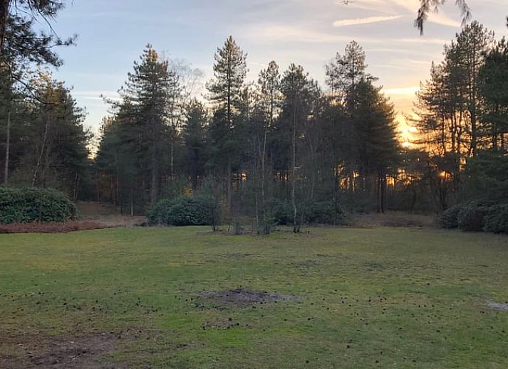 Unterkunft 432706 - Ferienhaus Noordoost Brabant - Vakantiehuis in Oploo