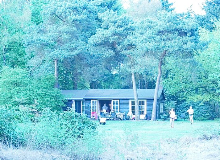 Unterkunft 432706 - Ferienhaus Noordoost Brabant - Vakantiehuis in Oploo