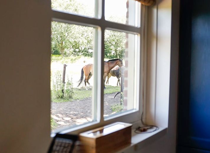 Unterkunft 432902 - Ferienhaus Noordoost Brabant - Vakantiehuisje in Wilbertoord