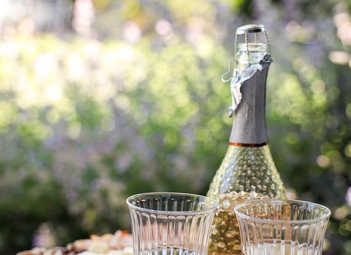 Fietsplezier bij Vakantiehuisje in Wilbertoord, Noordoost Brabant met gasten die de omgeving verkennen.