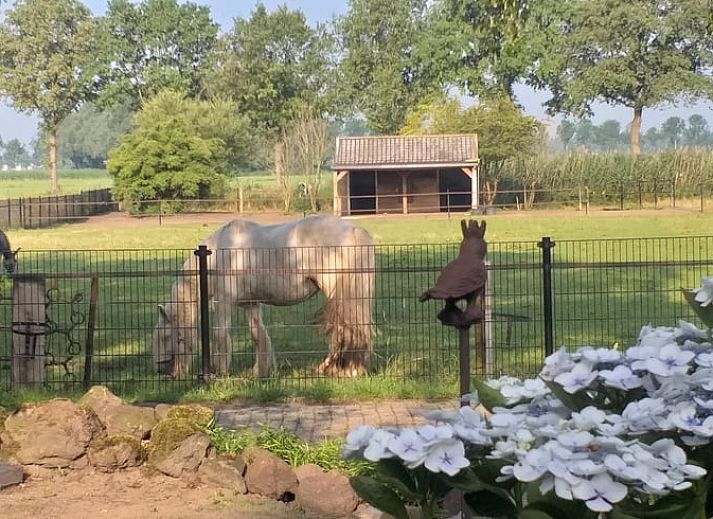 Unterkunft 433213 - Ferienhaus Noordoost Brabant - Vakantiehuis in Langenboom