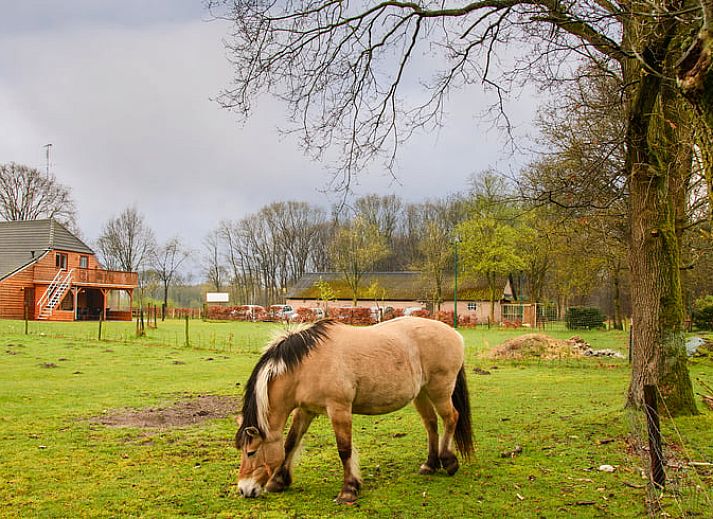 Unterkunft 433302 - Ferienhaus Noordoost Brabant - Vakantiehuisje in Nistelrode
