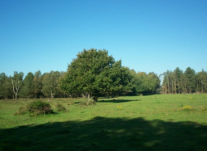 Unterkunft 433302 - Ferienhaus Noordoost Brabant - Vakantiehuisje in Nistelrode