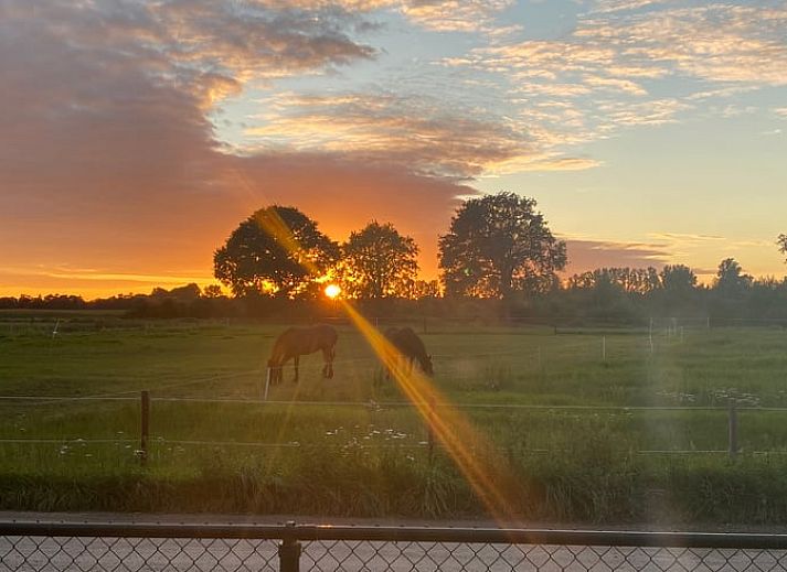 Ruime woonkamer van Huisje in Nistelrode, een vakantiehuis in Noordoost Brabant, met comfortabele banken en een moderne inrichting.
