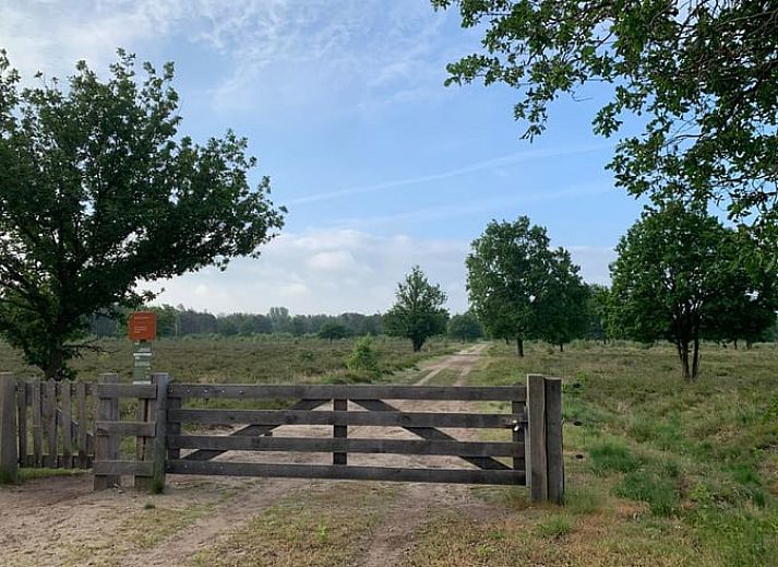 Unterkunft 433306 - Ferienhaus Noordoost Brabant - Vakantiehuisje in Nistelrode
