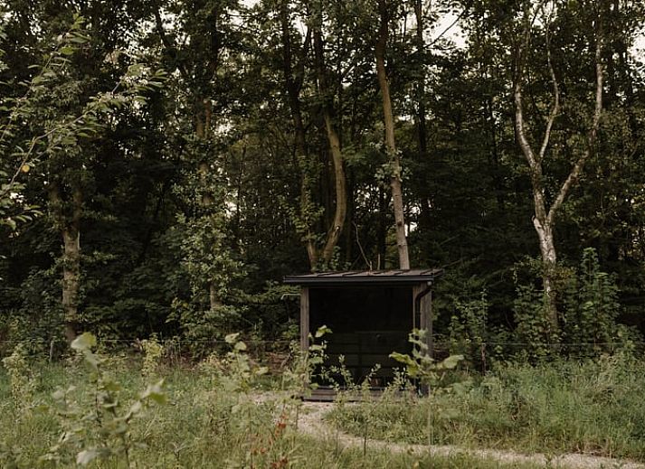 Unterkunft 433312 - Ferienhaus Noordoost Brabant - Vakantiehuis in Nistelrode