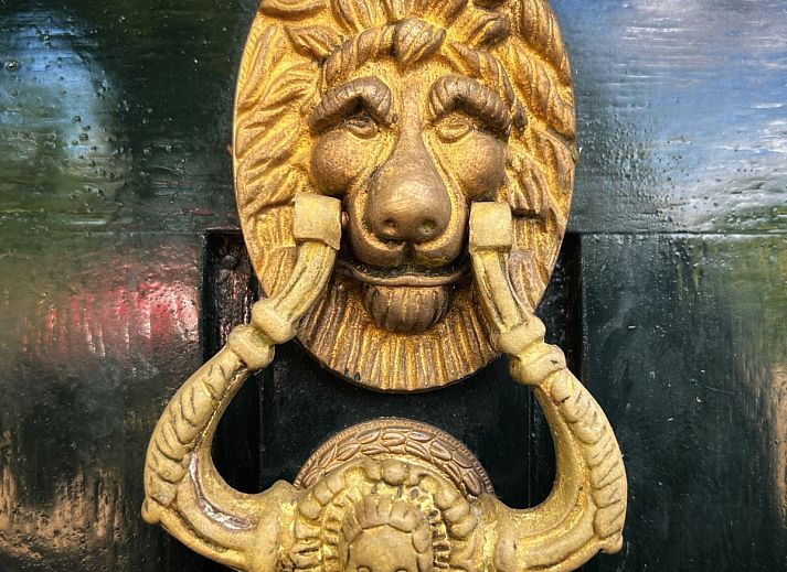 Guest house 433316 - Holiday property Noordoost Brabant - NB205