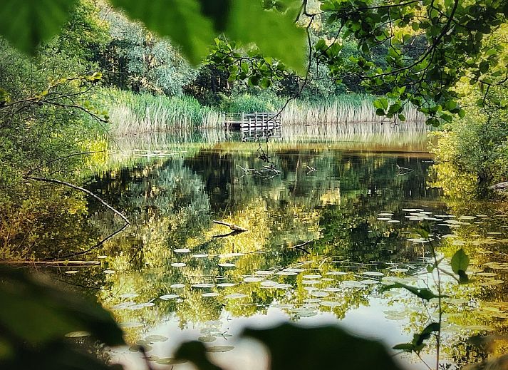 Guest house 433316 - Holiday property Noordoost Brabant - NB205