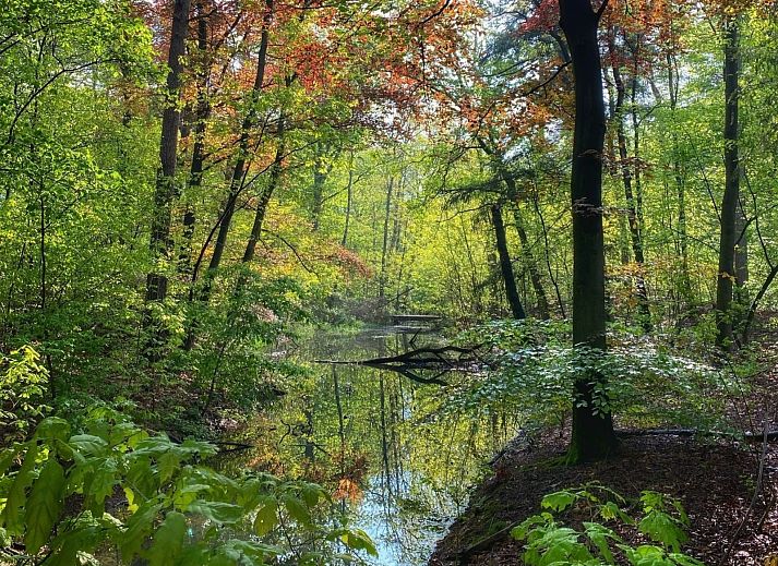 Guest house 433316 - Holiday property Noordoost Brabant - NB205