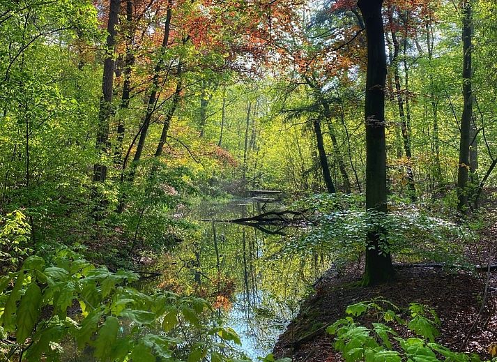 Guest house 433317 - Holiday property Noordoost Brabant - NB206