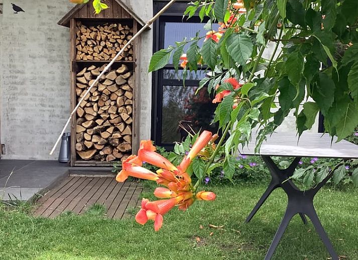 Verblijf 433405 - Vakantiewoning Noordoost Brabant - Vakantiehuisje in Escharen