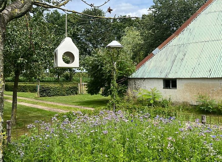 Verblijf 433405 - Vakantiewoning Noordoost Brabant - Vakantiehuisje in Escharen