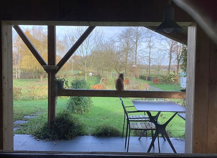 Verblijf 433405 - Vakantiewoning Noordoost Brabant - Vakantiehuisje in Escharen
