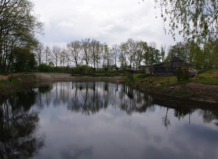 Beautiful view of pond at Cottage in Escharen, vacation home in northeast Brabant.