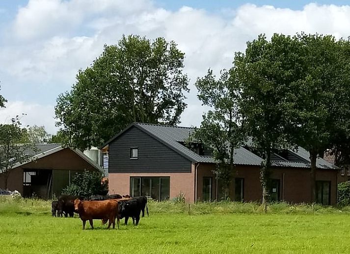 Vakantiehuis in Erp, Noord Brabant, buitenaanzicht met groene omgeving.