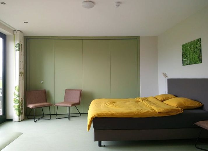 Landelijke charme bij Vakantiehuis in Erp, Noord Brabant, met grazende koeien.